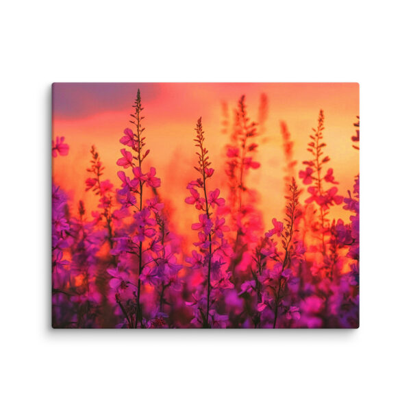 Horsmat auringonlaskussa - Image 4